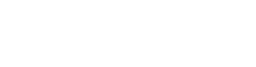 P1 Travel