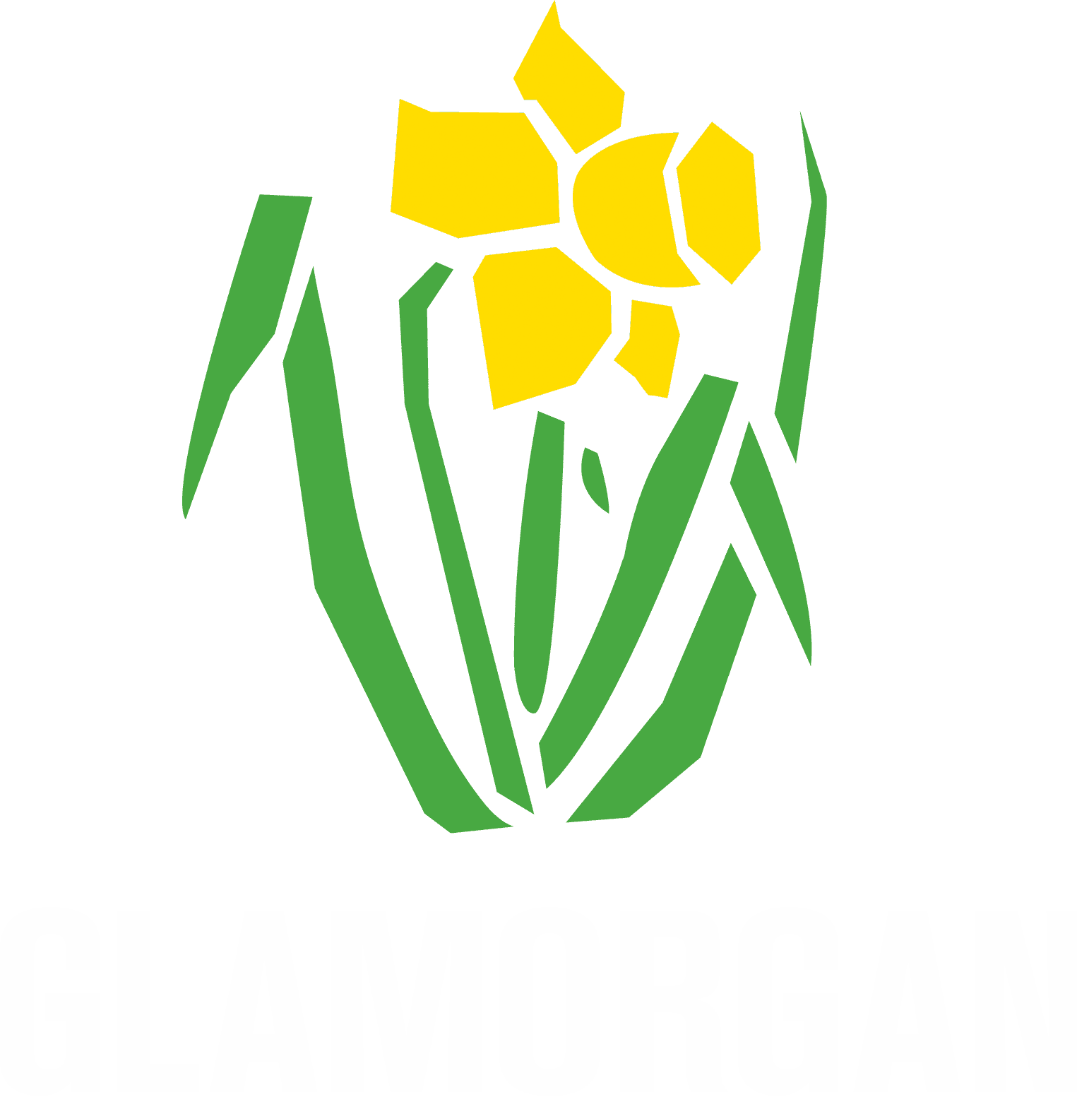 Glamorgan Logo