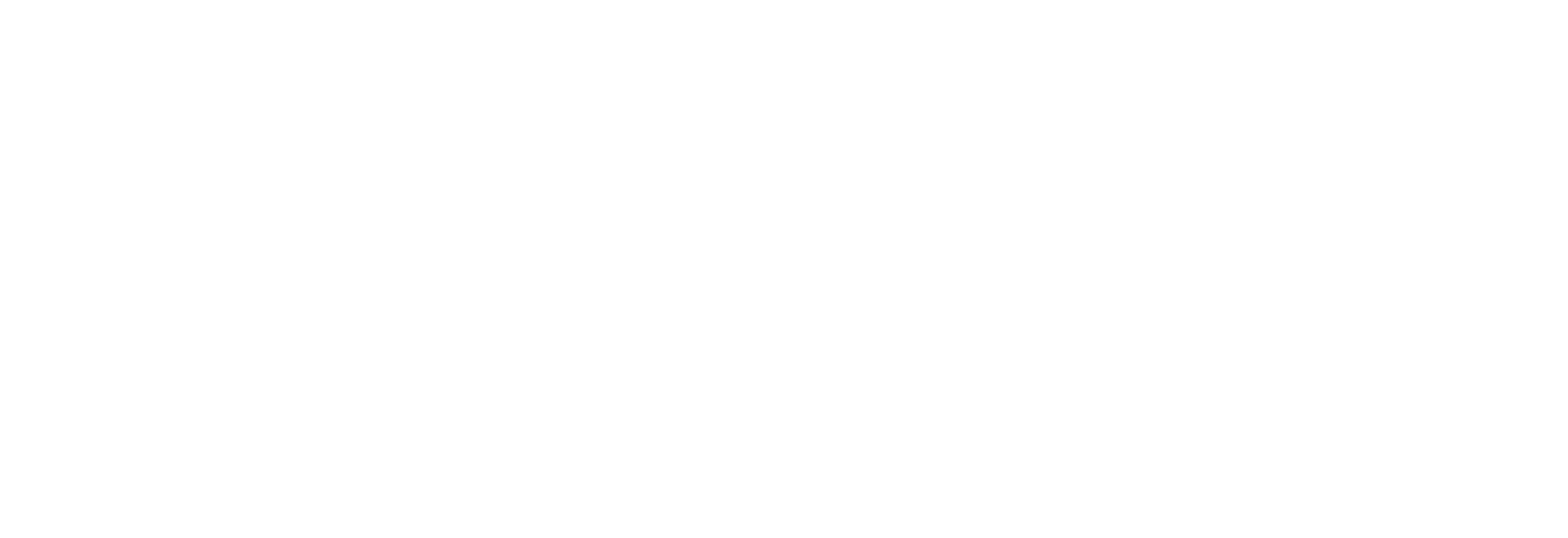 Durham Cricket Logo