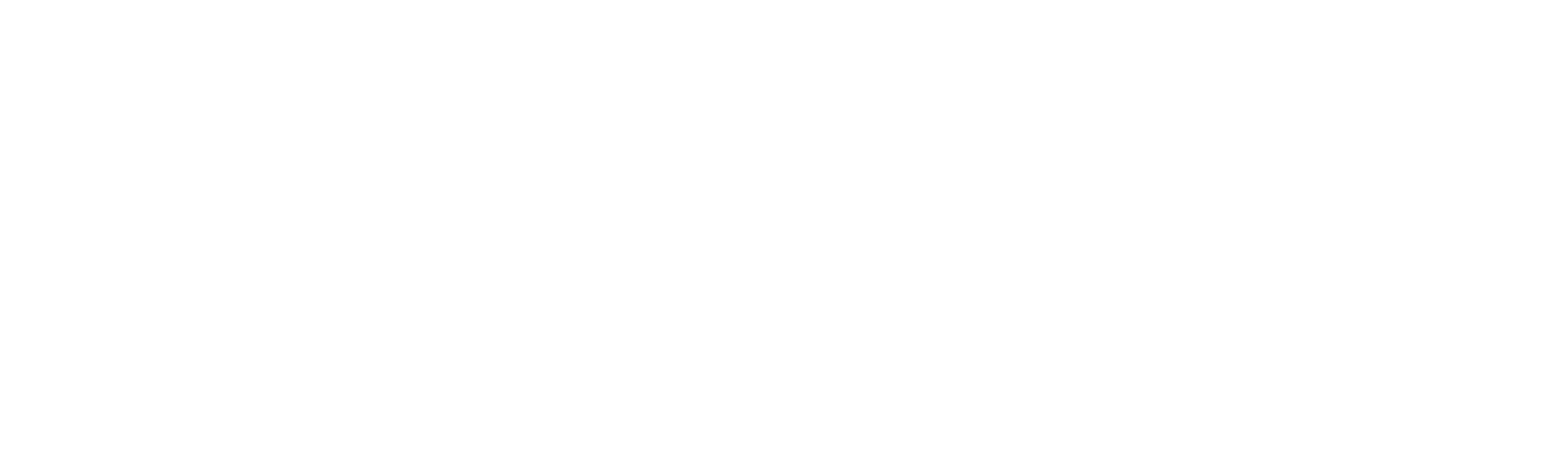 BST Hyde Park Logo