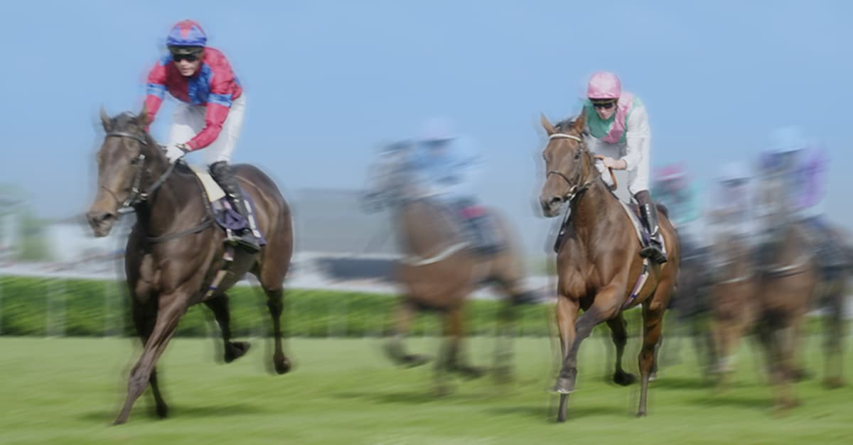 Arena Racing Company