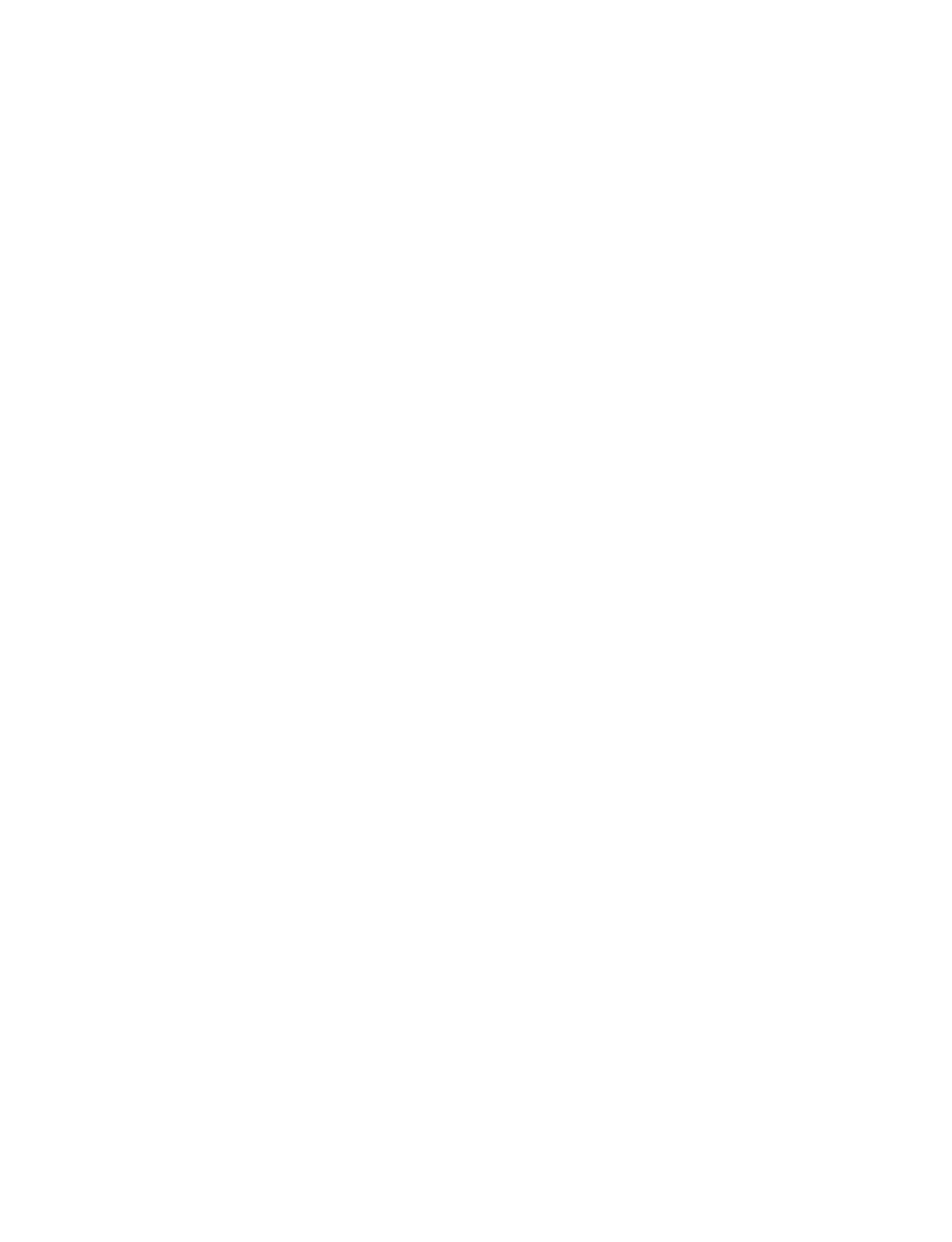 Newcastle Red Bulls Logo